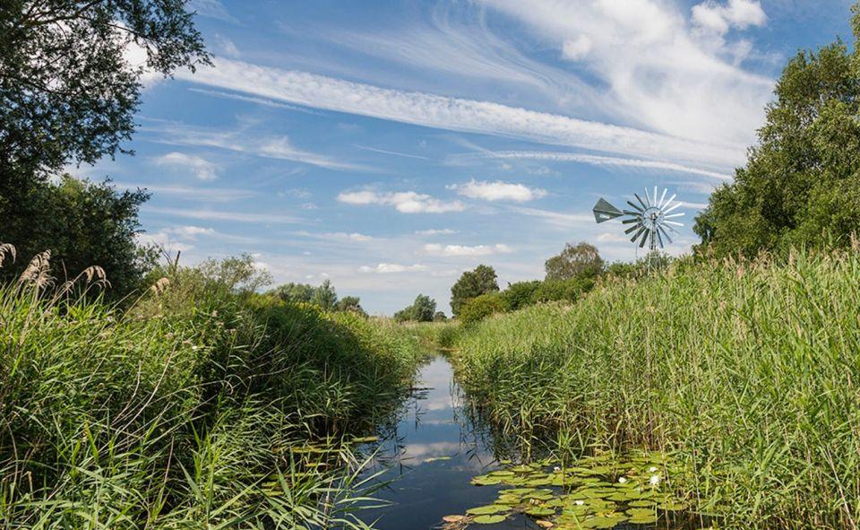 Exploring Wicken Fen Reserve: A Natural Beauty Spot in Cambridgeshire